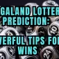 nagaland lottery prediction